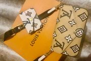 Genuine Louis Vuitton Felicie Strap and Go