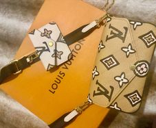 Genuine Louis Vuitton Felicie Strap and Go