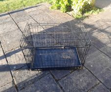 Steel Pet Pen / Carrier