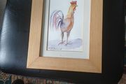 Farm Cock