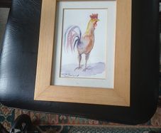 Farm Cock