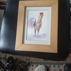Farm Cock
