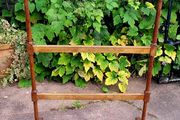 19th Century Oak towel rail