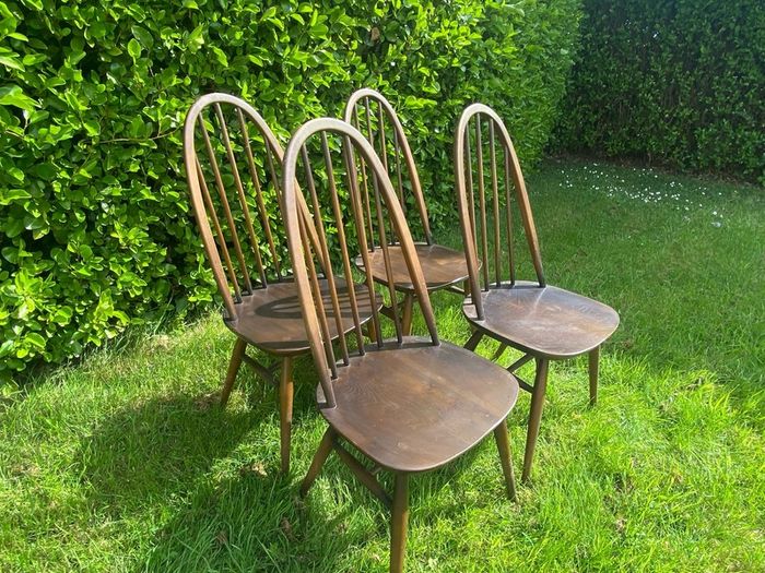 ercol Windsor dining chairs