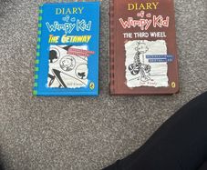 Diary of a wimpy kid books
