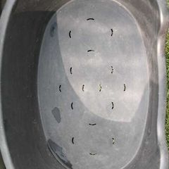 Dog bed small