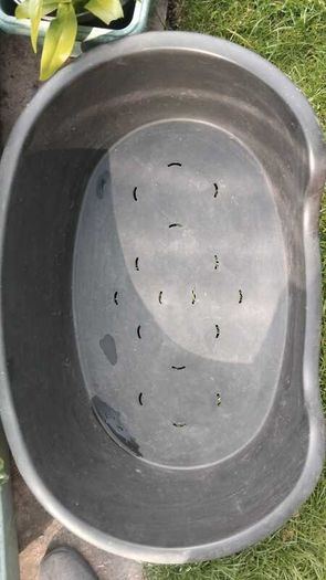 Dog bed small