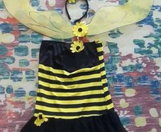 Adult/teen bumblebee costume