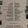 Vinyl Verdict Compilation of new Irish rock lp Image 2