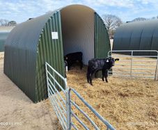 Extra Large Calf Donkey Pony Llama  Shed Shelter