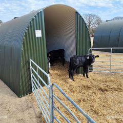 Extra Large Calf Donkey Pony Llama  Shed Shelter