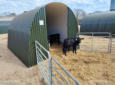 Extra Large Calf Donkey Pony Llama  Shed Shelter