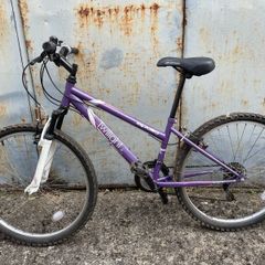 Apollo Twilight Small Mountain Bike - 14" Frame