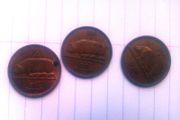 Irish Half Pennies. Various Dates.