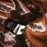 UGG Teddy Long Coat Image 3