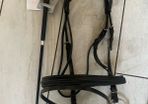 horse bridle