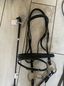 horse bridle