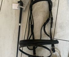 horse bridle