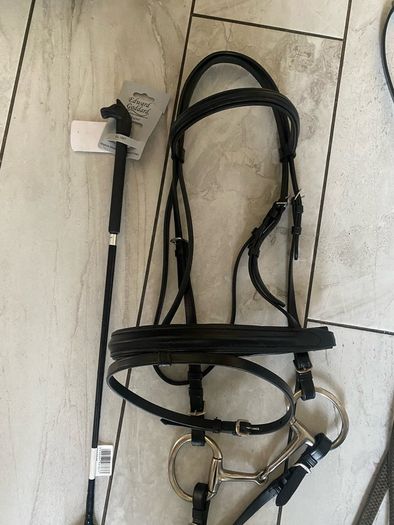 horse bridle