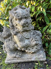 Large Chinese Foo Dog