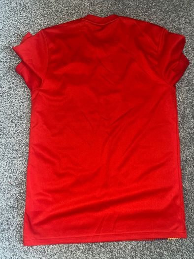 Spain Jersey Small