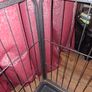 Dog crate Image 6