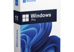 Microsoft Windows 11 Professional Perpetual Digital License Key (Global)