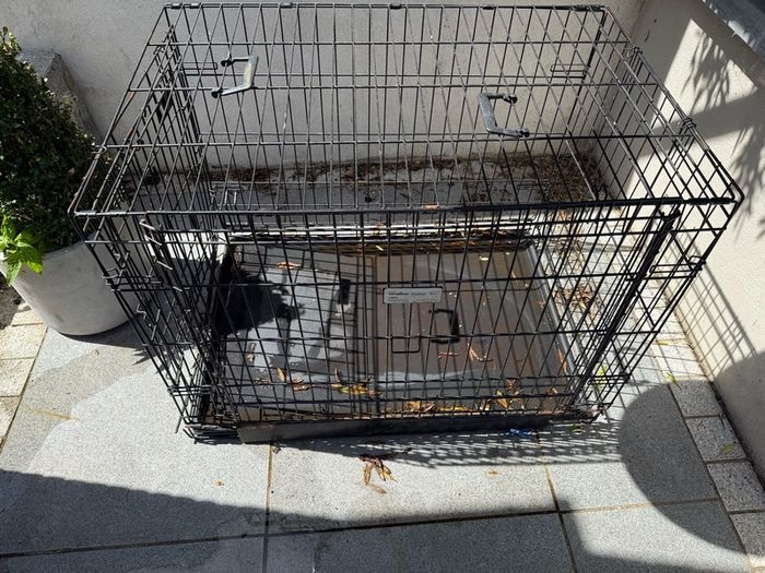 FREE large Dog Cage