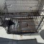 FREE large Dog Cage Image 3