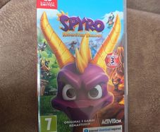 Nintendo Switch Game