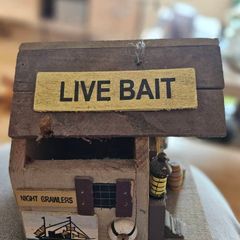 Fun Bird House