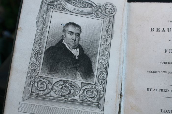 The Beauties Of Fox, Consisting Of Selections From His Works by Alfred Howard