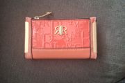 Purse/River Island Purse