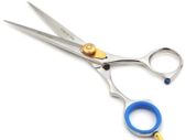 Professional Salon Hairdressing Hair Cutting Razor Scissors With Black Case (16.5cm, Silver)
