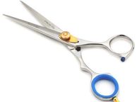 main image for ad Professional Salon Hairdressing Hair Cutting Razor Scissors With Black Case (16.5cm, Silver)