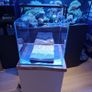 Nano fish tank, full set 64L cube optiwhite Image 2