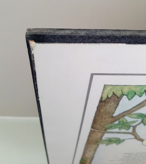 'Le Corbeau et Le Renard' poem picture