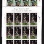 2007 Ireland Rugby World Cup France (Paul O Connell and Players in lineout) Commemorative Stamp Sheetlets Plate 1B1B1B1B fine Used with Dublin cancel of 17th July 2007 (First day of issue) Image 2