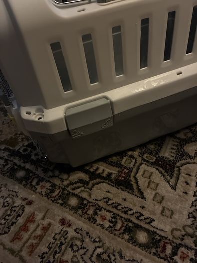 cat carrier