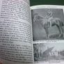 Rathaspic & Russagh Westmeath Ireland Irish local history Signed by writers Image 3