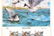1983 Alderney Limited Edition Lithographed Print measuring 333mm X 257mm showing Alderney Birds Commemorative stamps with First Day of Issue Cancel