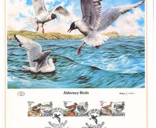 1983 Alderney Limited Edition Lithographed Print measuring 333mm X 257mm showing Alderney Birds Commemorative stamps with First Day of Issue Cancel