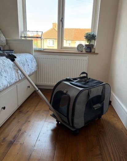 Cat Carrier x 2