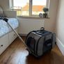 Cat Carrier x 2 Image 2