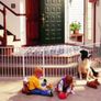 Baby Dan playpen Image 2