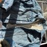 zara jacket Image 3