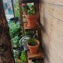 Rustic Wooden Ladder Plant Stand, Handmade Image 2