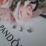new pandora charm/pendant charm Image 2