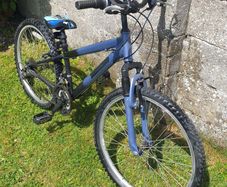 Boys Bike - 22"