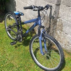 Boys Bike - 22"